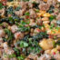Artichoke, Sausage, Bean & Tomato Skillet