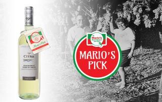 Mario's Pick: Citra Chardonnay Terre di Chieti