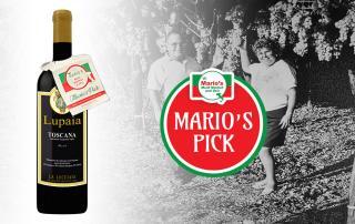 Mario's Pick: La Lecciaia - Lupaia Toscana