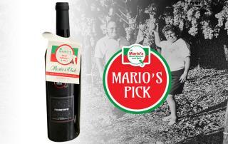 Mario's Primitivo Wine Blog